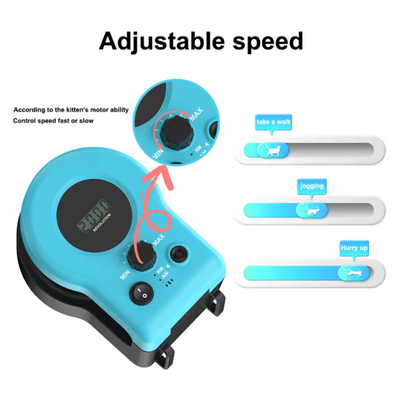 Cat Interactive Lure Toy